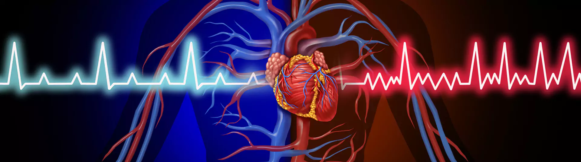Cardiac Surgery Banner Image