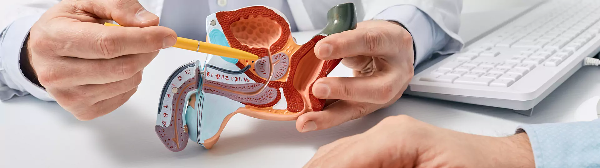 Erectile Dysfunction Banner Image