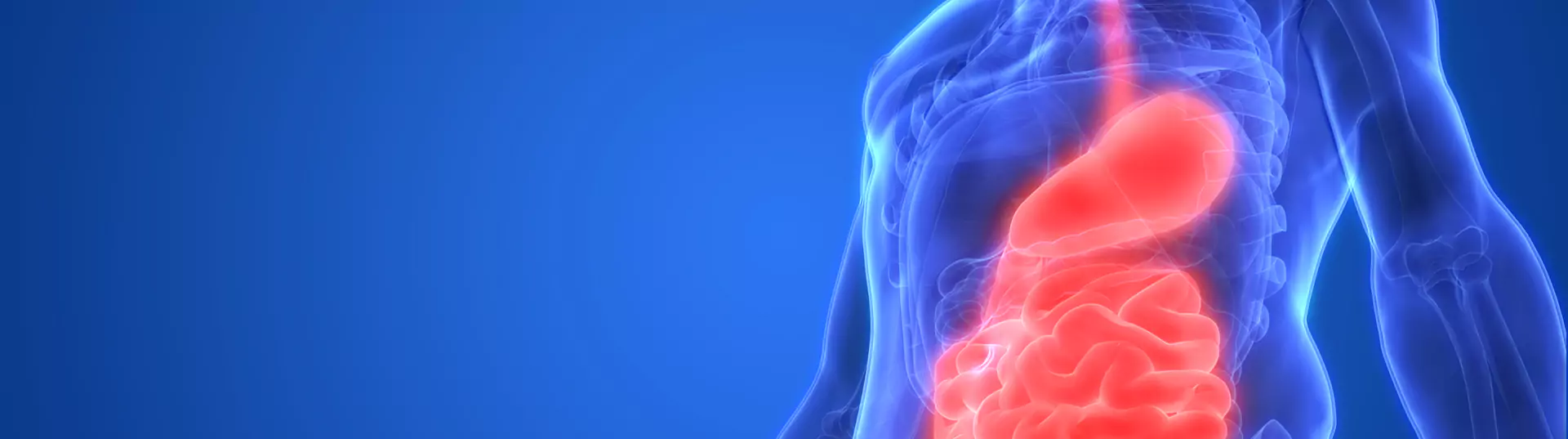 Gastrointestinal Banner Image